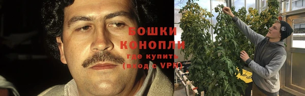 мяу мяу кристалл Корсаков
