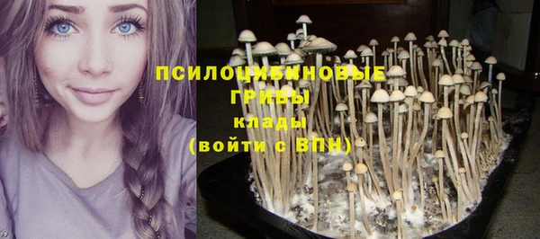мяу мяу кристалл Корсаков