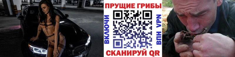 Купить закладки  Балей  Псилоцибиновые грибы Psilocybe 