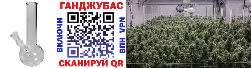 Купить  Балей  Бошки Шишки индика 